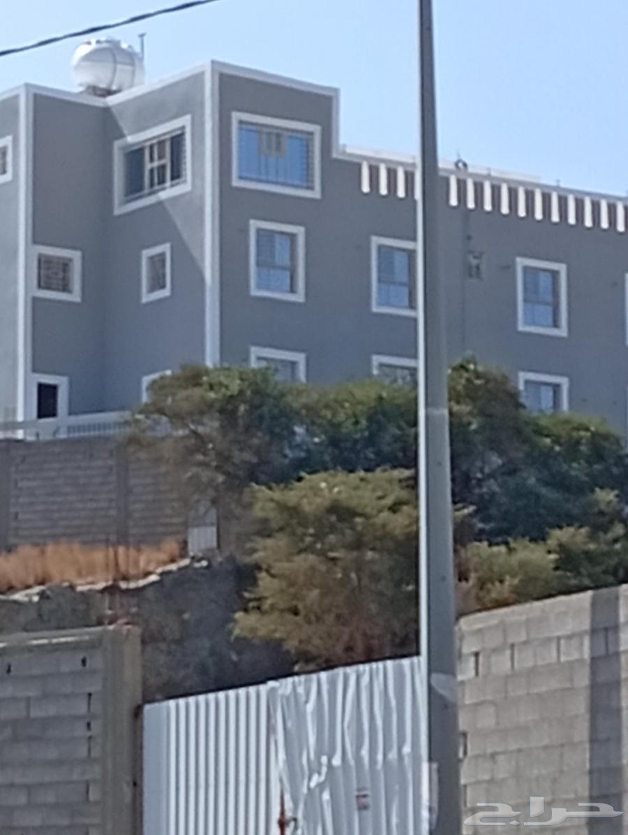 دهانات وديكورات النماص64171621345154114