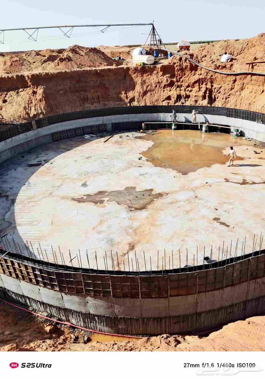 Hello Ali M64170184060033112