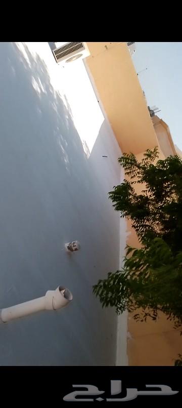 Water Leak Detection, Roof and Tank Insulation64171621037059112