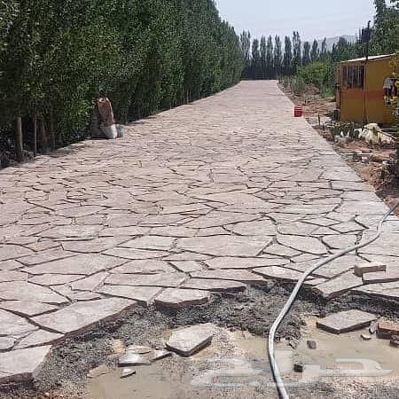 حجر وجه الجبل عشوائي 50 ريال64610169827074114