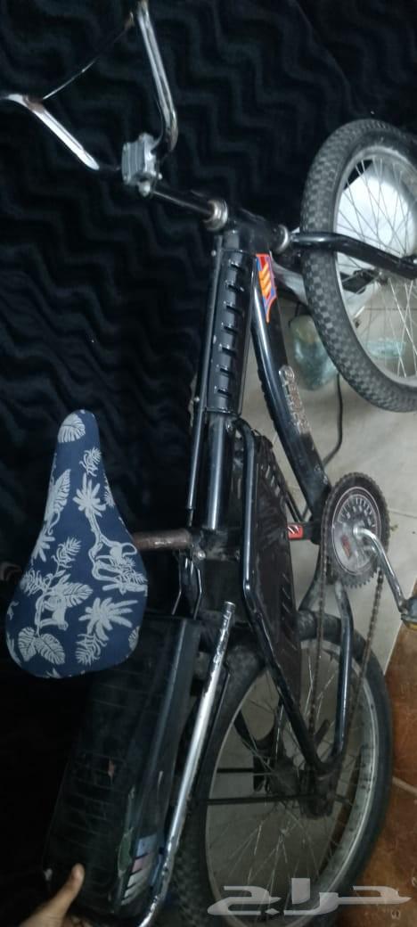 سيكل للبيع مقاس 2064511000702339110