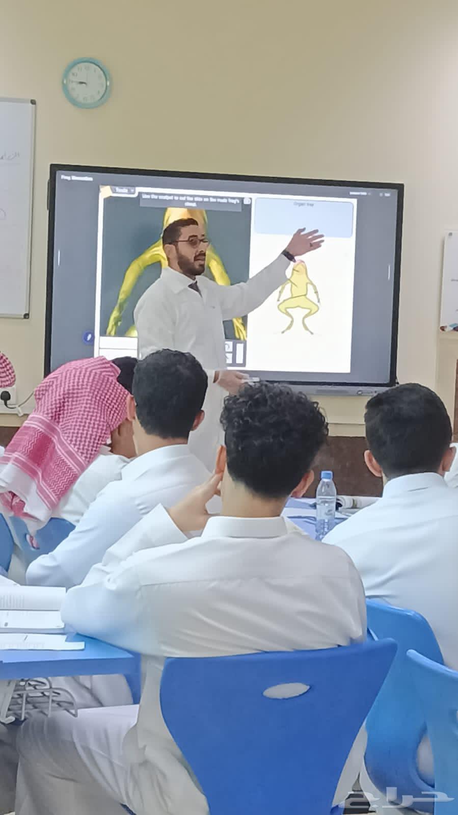 معلم تأسيس ومتابعة لجميع المواد وجميع المراحل الدراسية64171376480258110