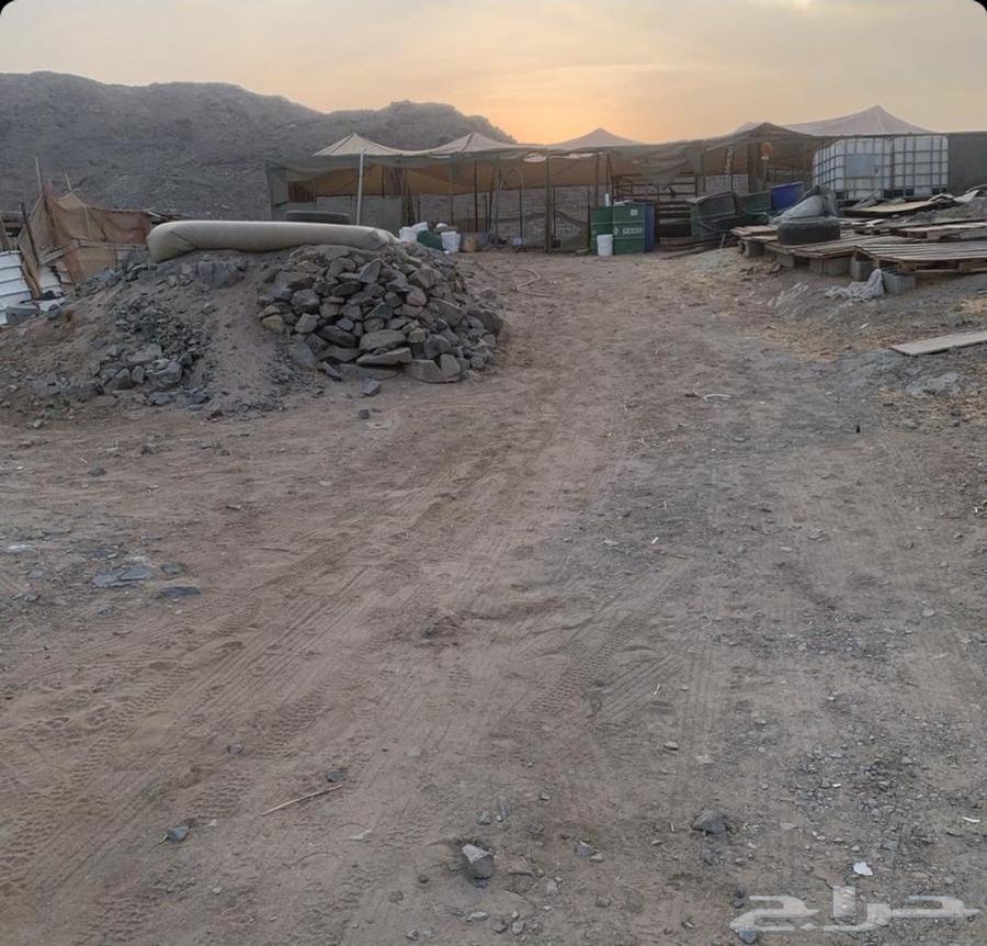 شبوك غنم للايجار الشهري64172304476931110