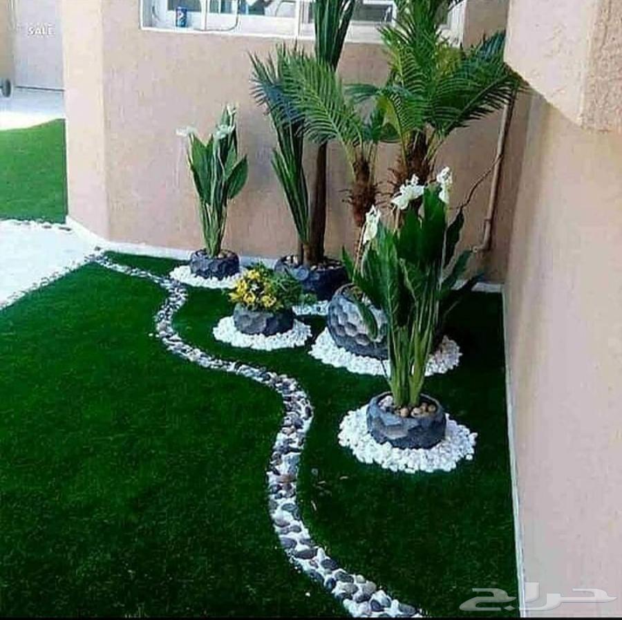 أبو محمد الصعيدي لتنسيق الحدائق والزراعة64172083221250114