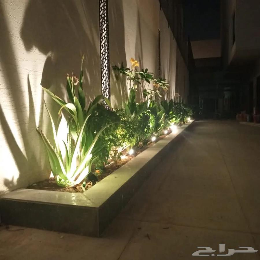 مشتل زراعي الرياض حي الملقا طريق الملك سلمان64172086642049111