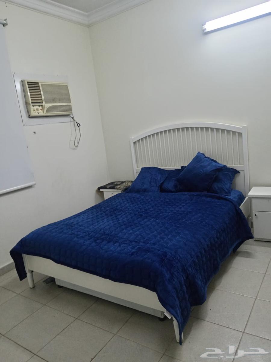 شقة للإيجار