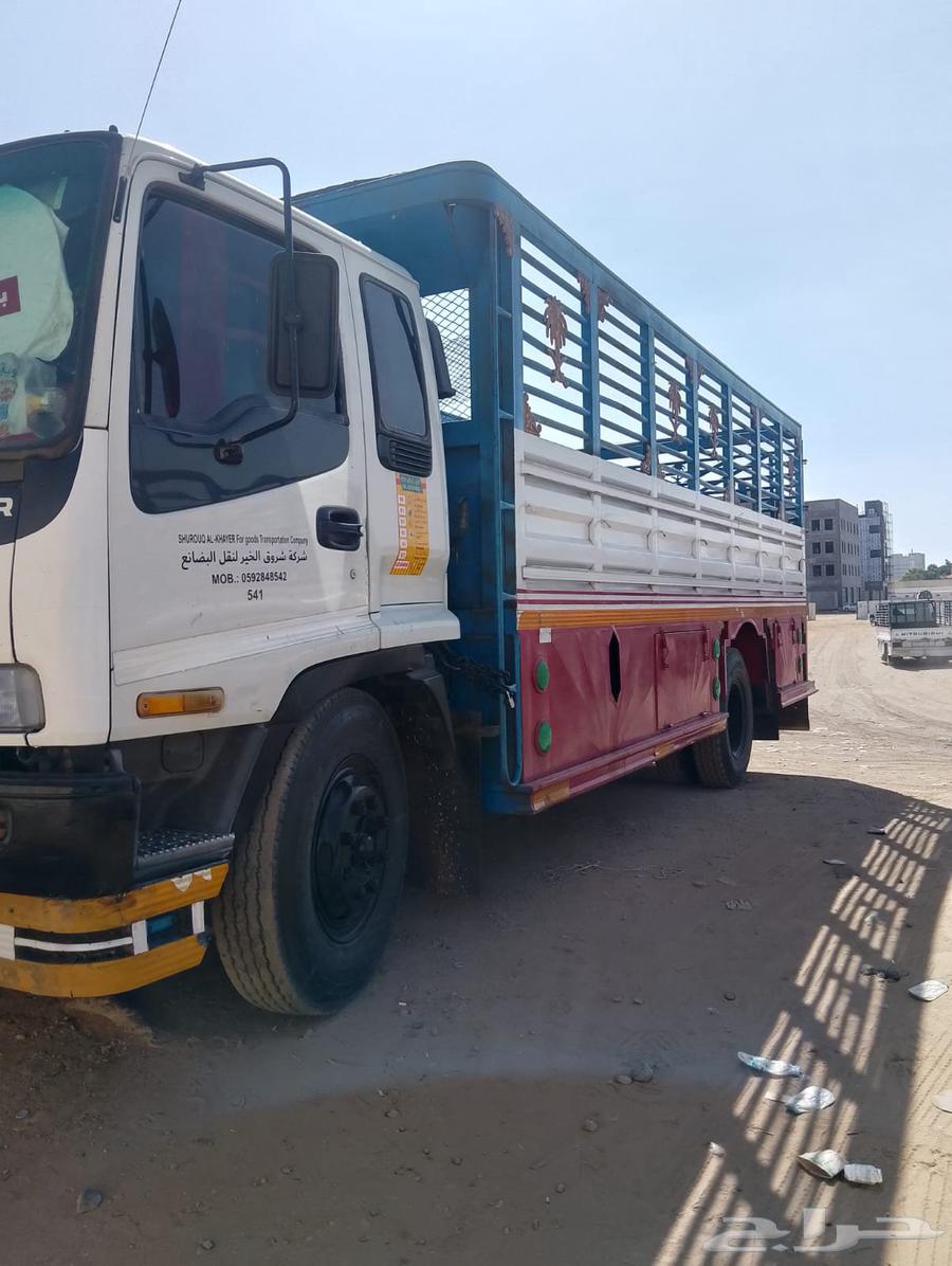 دينا نقل عفش تبوك64248167684610110