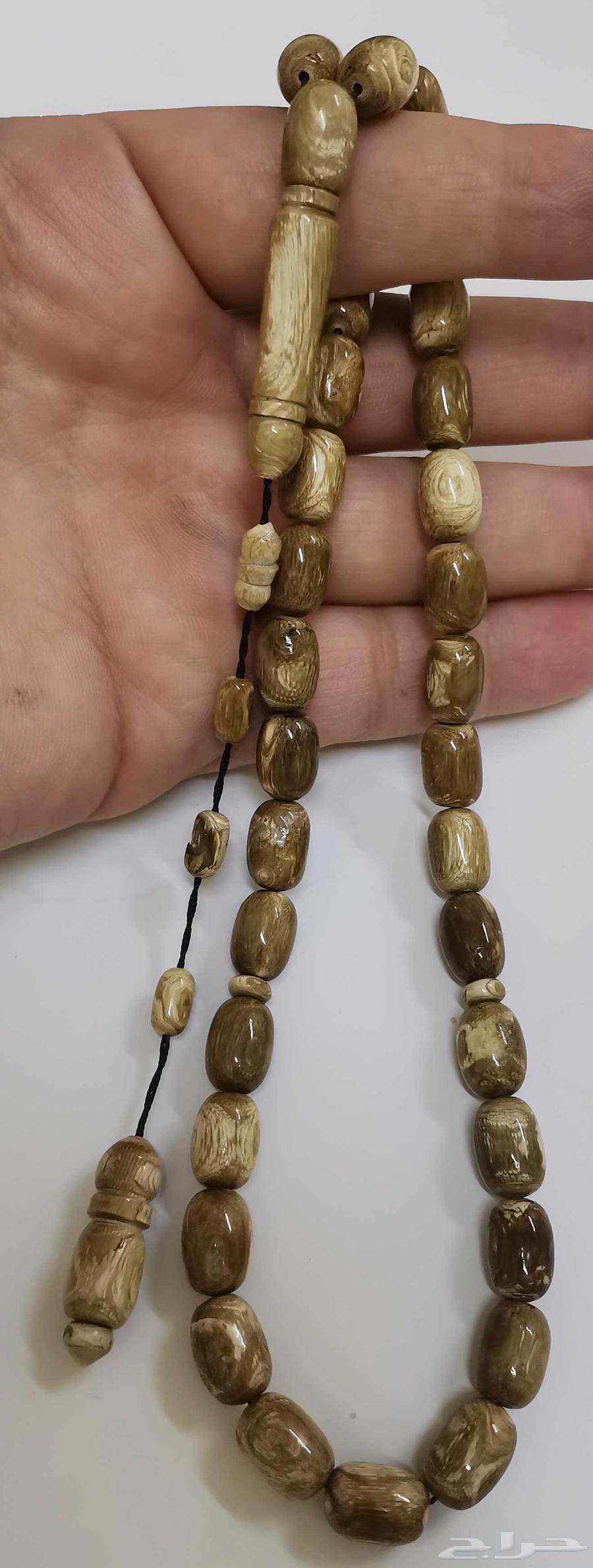 اليسر الأبيض النادر شبيه الماموس64546651011969113