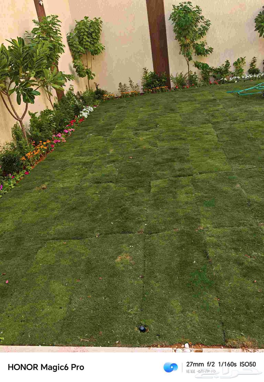 Natural grass farming and installation of regular and automatic irrigation networks64172306514433110