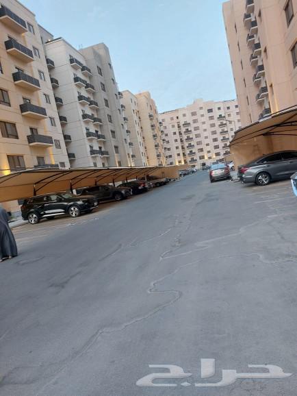 Jeddah Shading Canopies and Screens64172701121666111