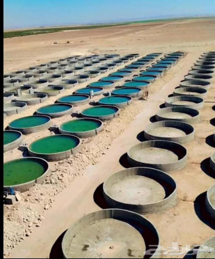 خزنات دايري مبروم خق مياه مزرعه اواسترخت64172302820867111