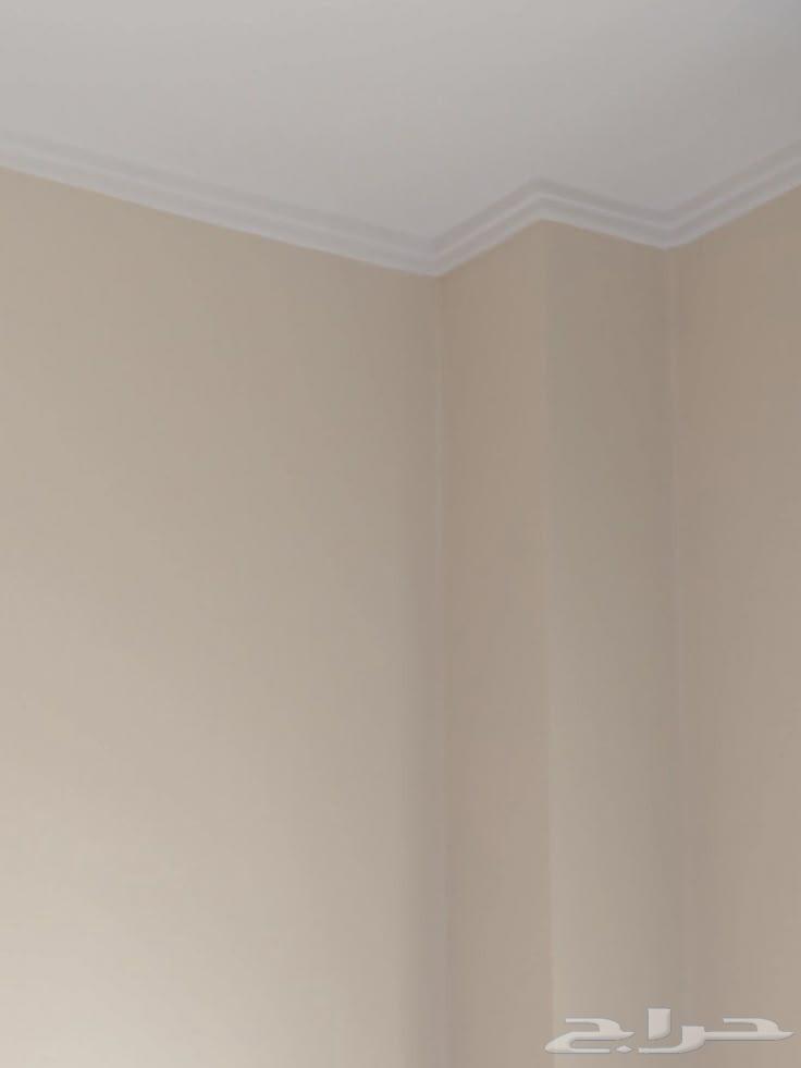 Competitive paint prices and high quality64172303749762111