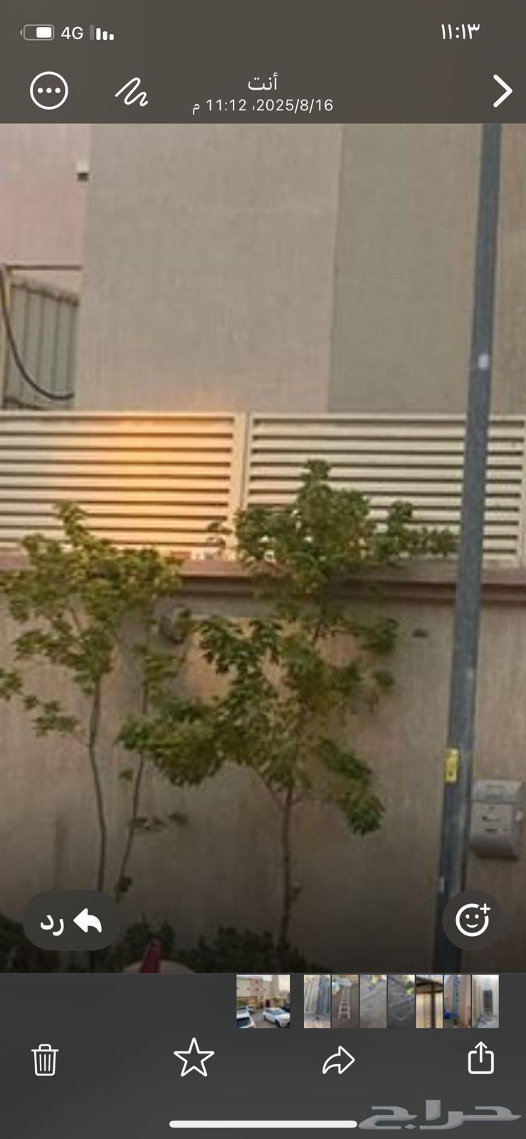 حداد مضلات وسواتر سندويش بنل64172705522817112