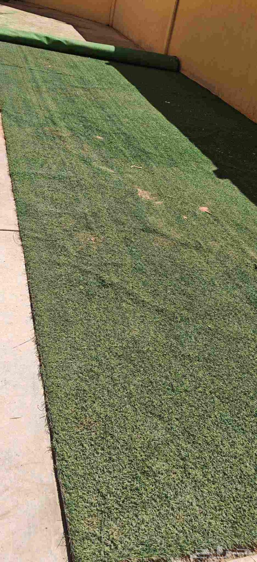 عشب صناعي إنجيله64172304032259110