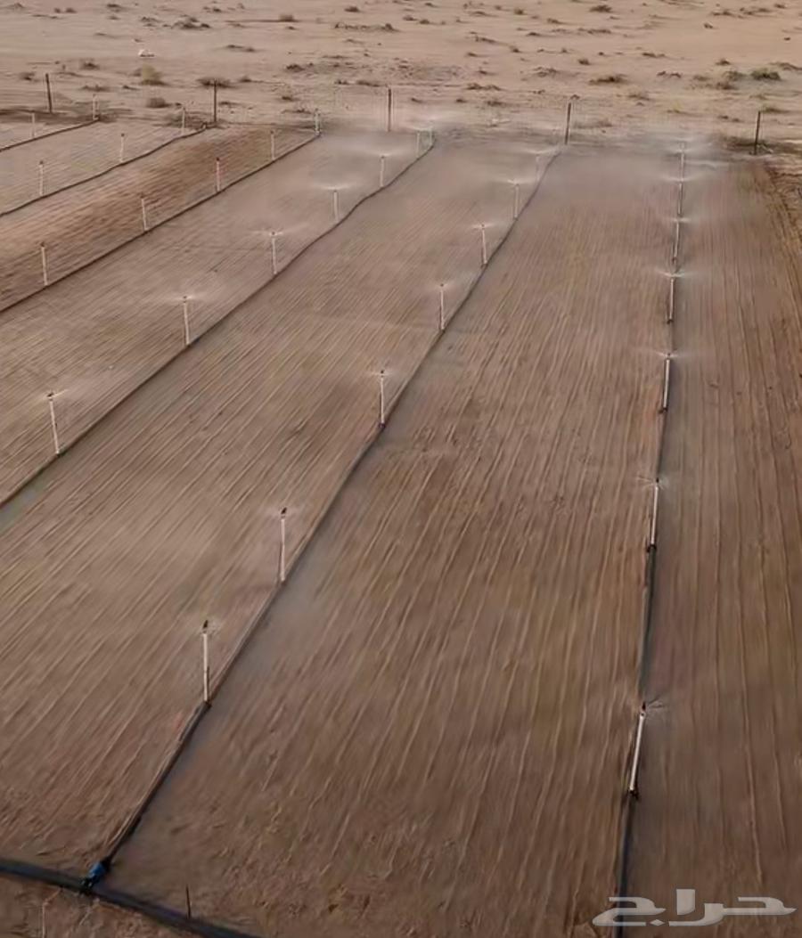 Clover Sprinkler Installation64174798320258111