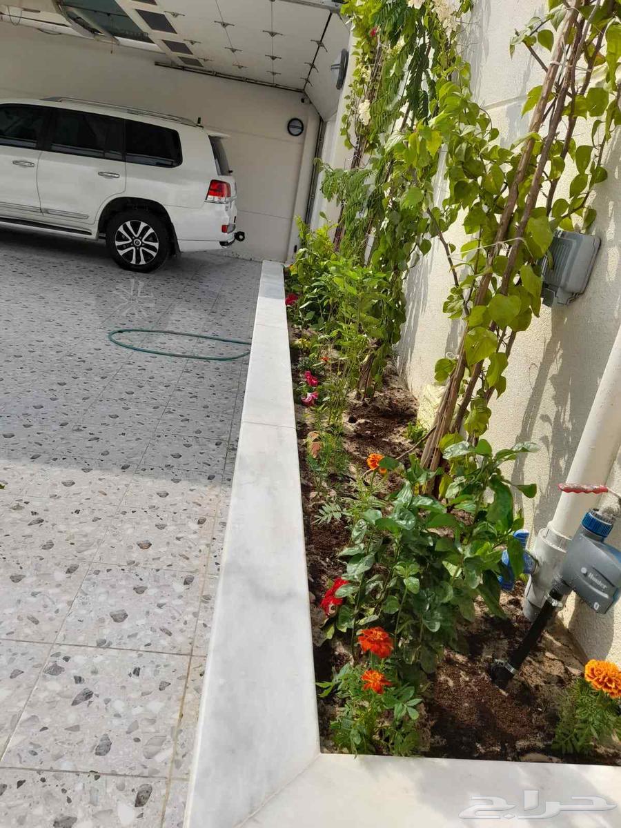 تنسيق حدائق الدمام نعمل لأجل خدماتكم64174613863426112