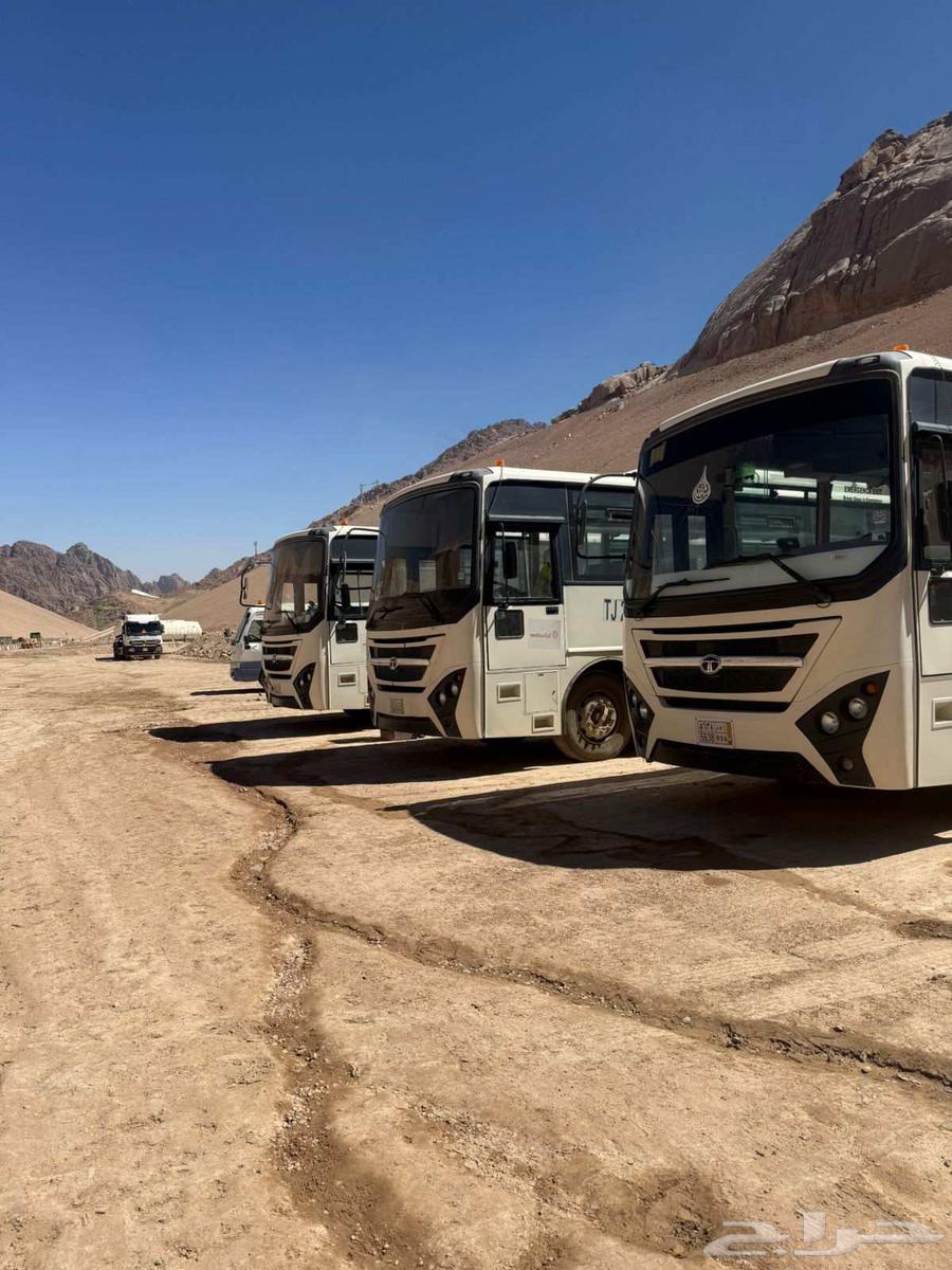 شركة بيان الفرسان للإيجار التواصل 053002364173952694147111