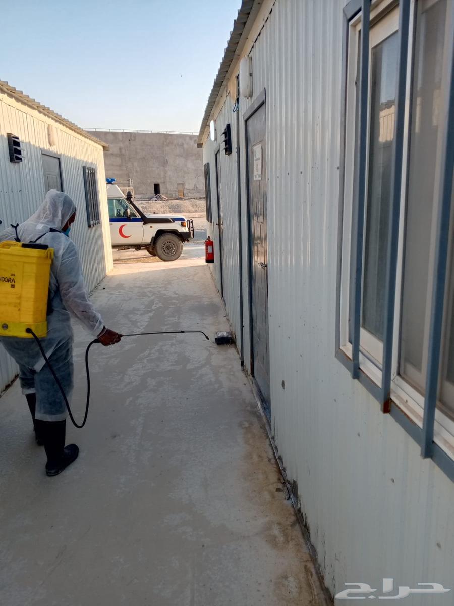 Pest Control in Riyadh with Pesticide Spraying and Warranty64174799453699114