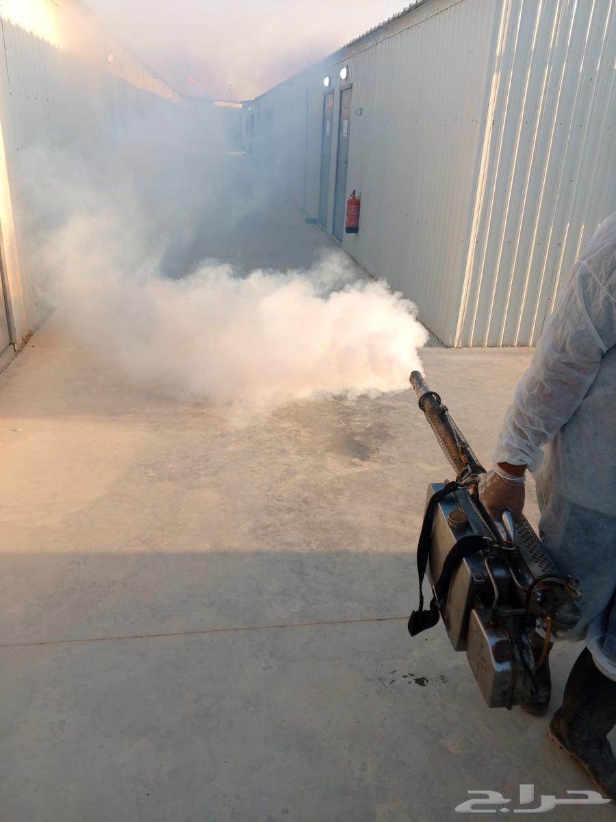 Pest Control in Riyadh with Pesticide Spraying and Warranty64174799453699112
