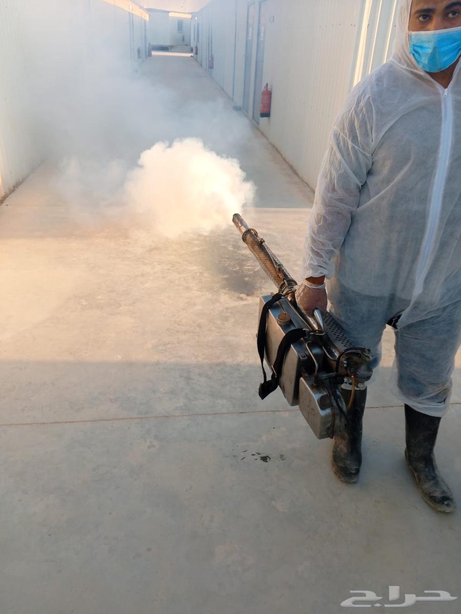 Pest Control in Riyadh with Pesticide Spraying and Warranty64174799453699111