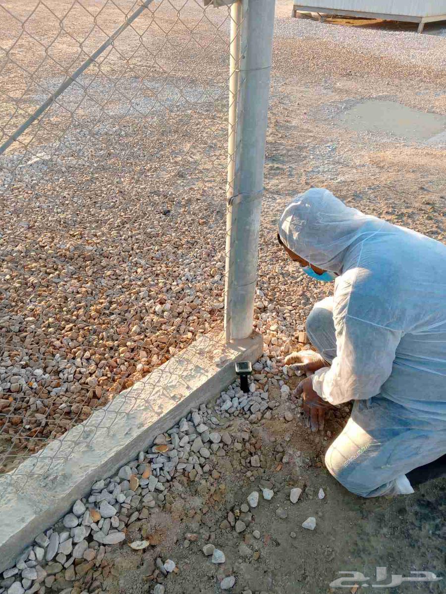 Pest Control in Riyadh with Pesticide Spraying and Warranty64174799453699113