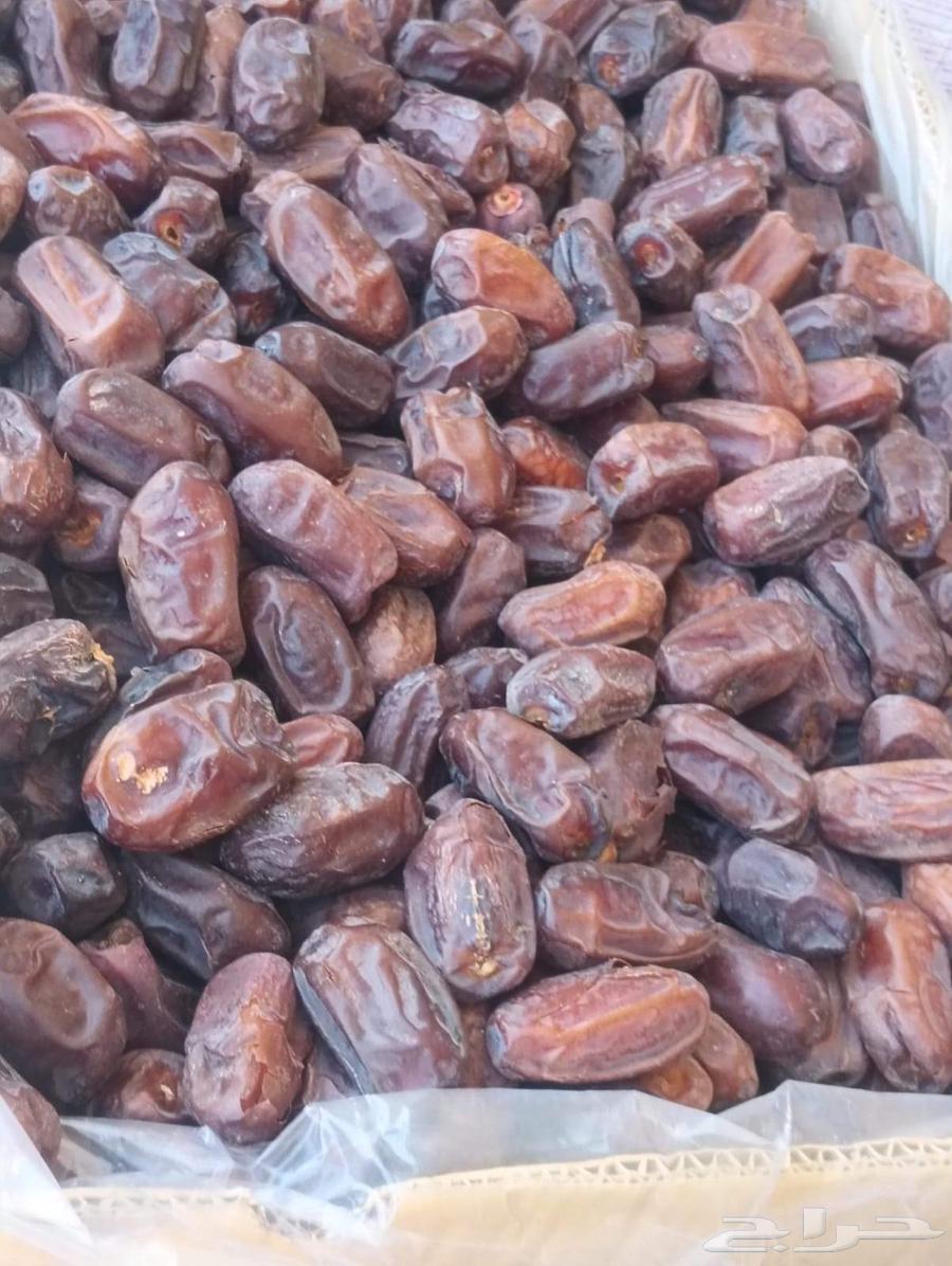 تمور خلاص ومشكلات وصقعي وخضري64403696724739112