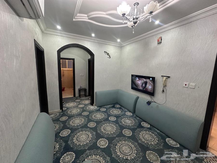 Looking for accommodation, studio or room in an apartment, Egyptian accountant, non-smoker64151901884803110