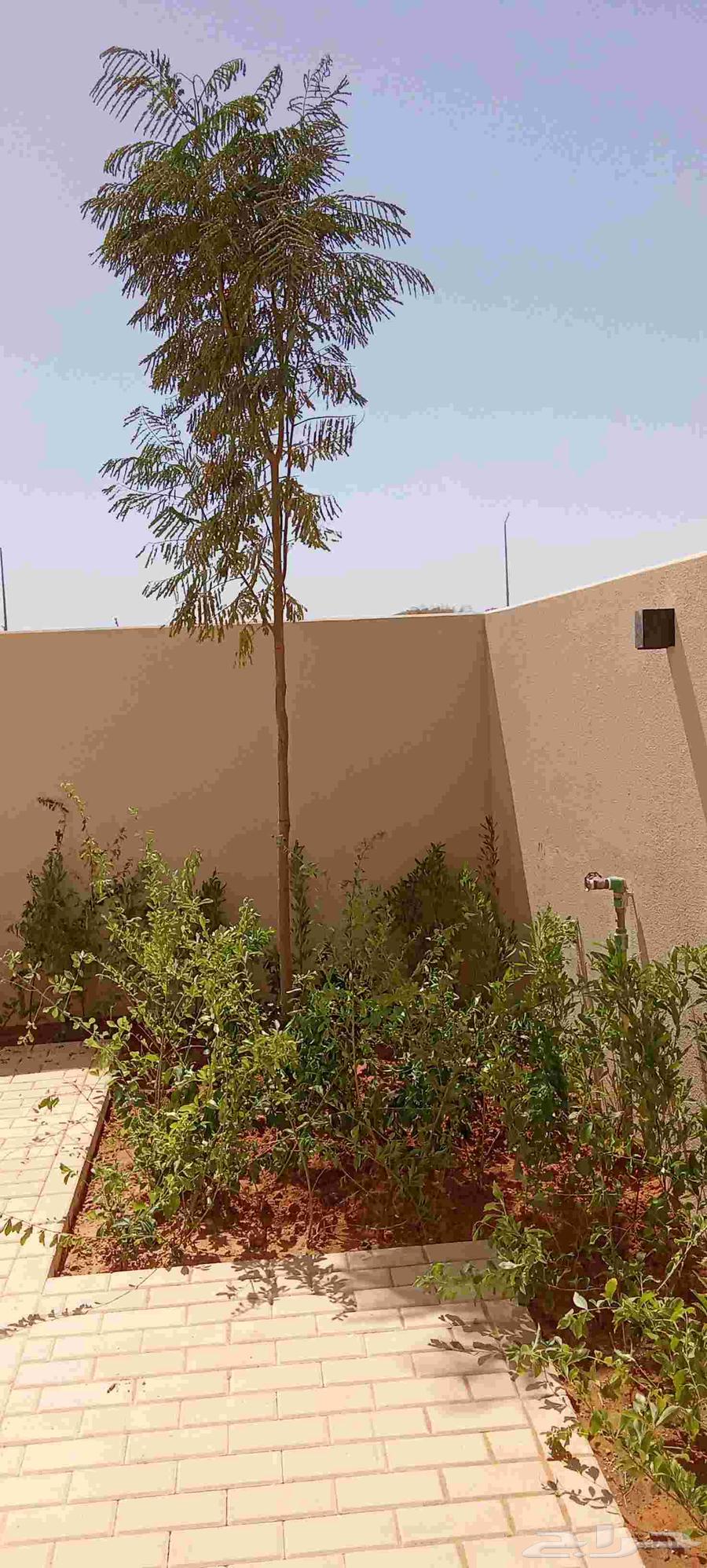 تيل طبيعي زراعي64569481344131114