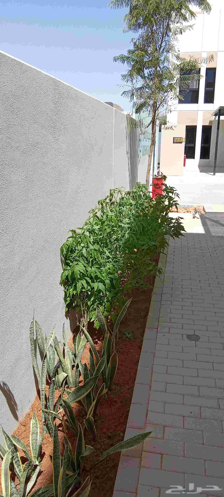 تيل طبيعي زراعي64569481344131112