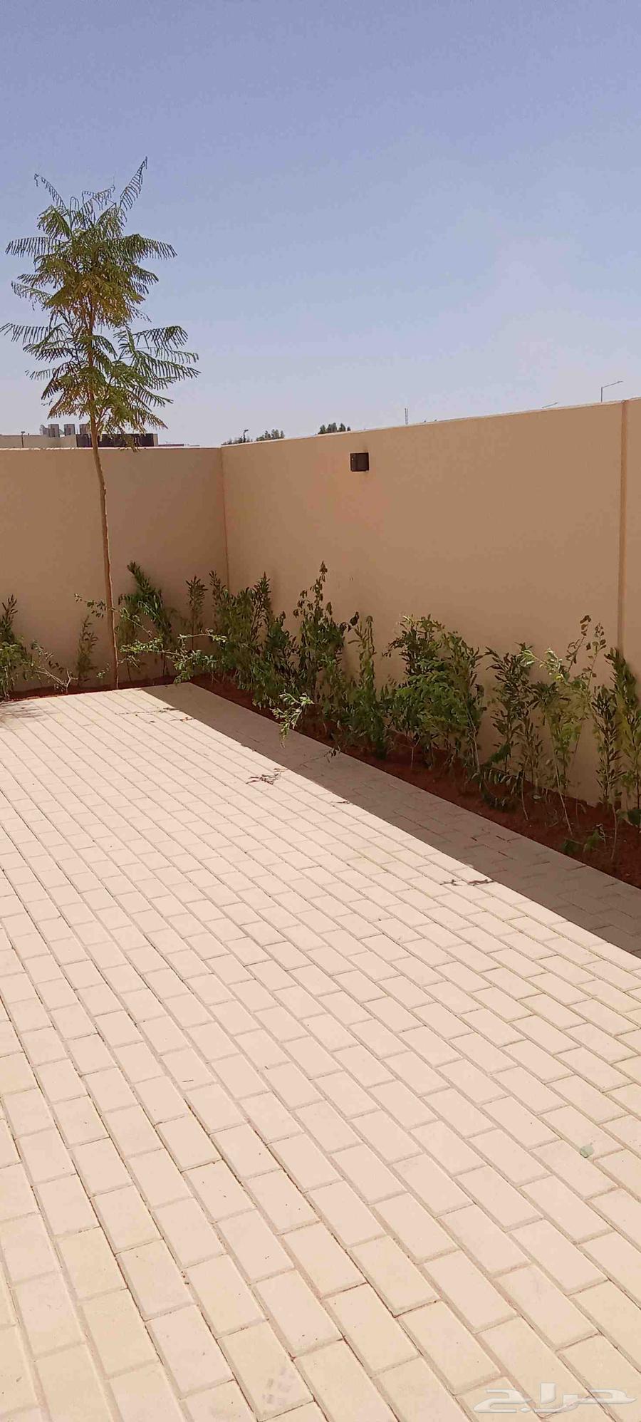 تيل طبيعي زراعي64569481344131113