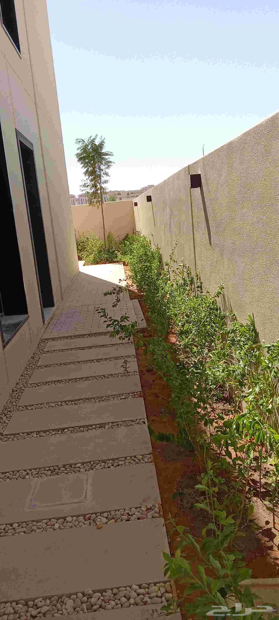 تيل طبيعي زراعي64569481344131111