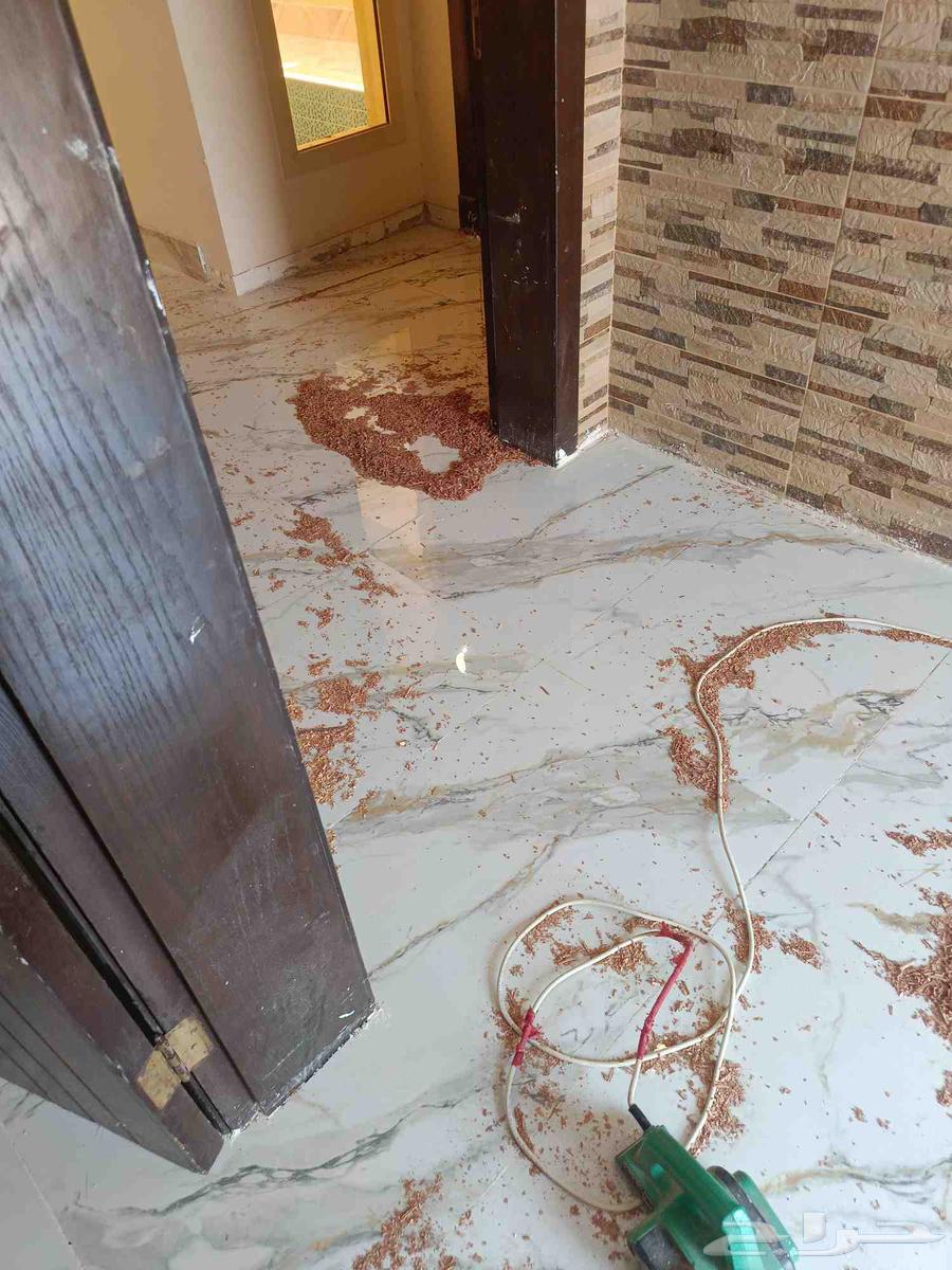 مبلط ارضيات وجدران64174181678465114