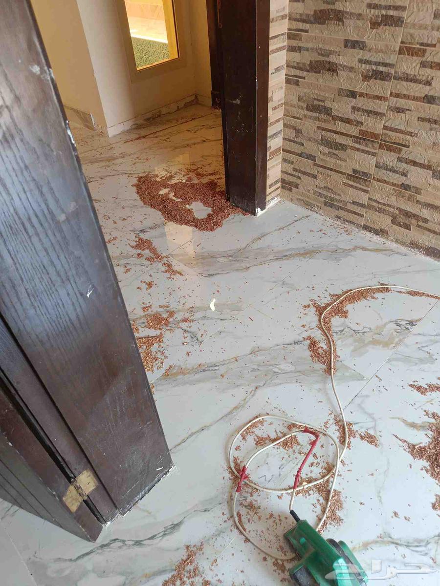 مبلط ارضيات وجدران64174181678465110