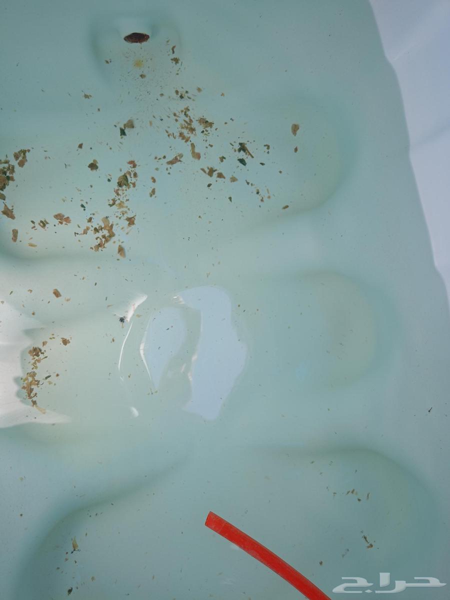 شركة تنظيف خزانات بمكه تنظيف شقق بخار بمكة مكافحة حشرات بمكة64174800539266110