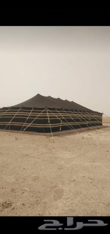 خيام وبيوت شعر ثابت ومتحرك ومضلات64173752235137111