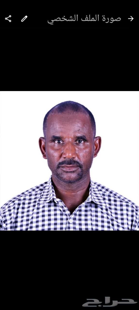 مدرس لغة إنجليزية سوداني الجنسية64190886625667110