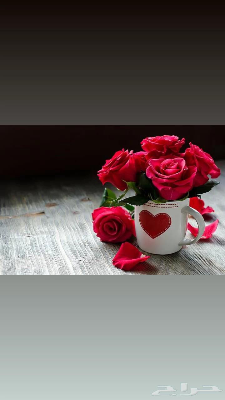 تمريض منزلى رعاية لكبار السن ممرضات ومرفقين64174800600322110