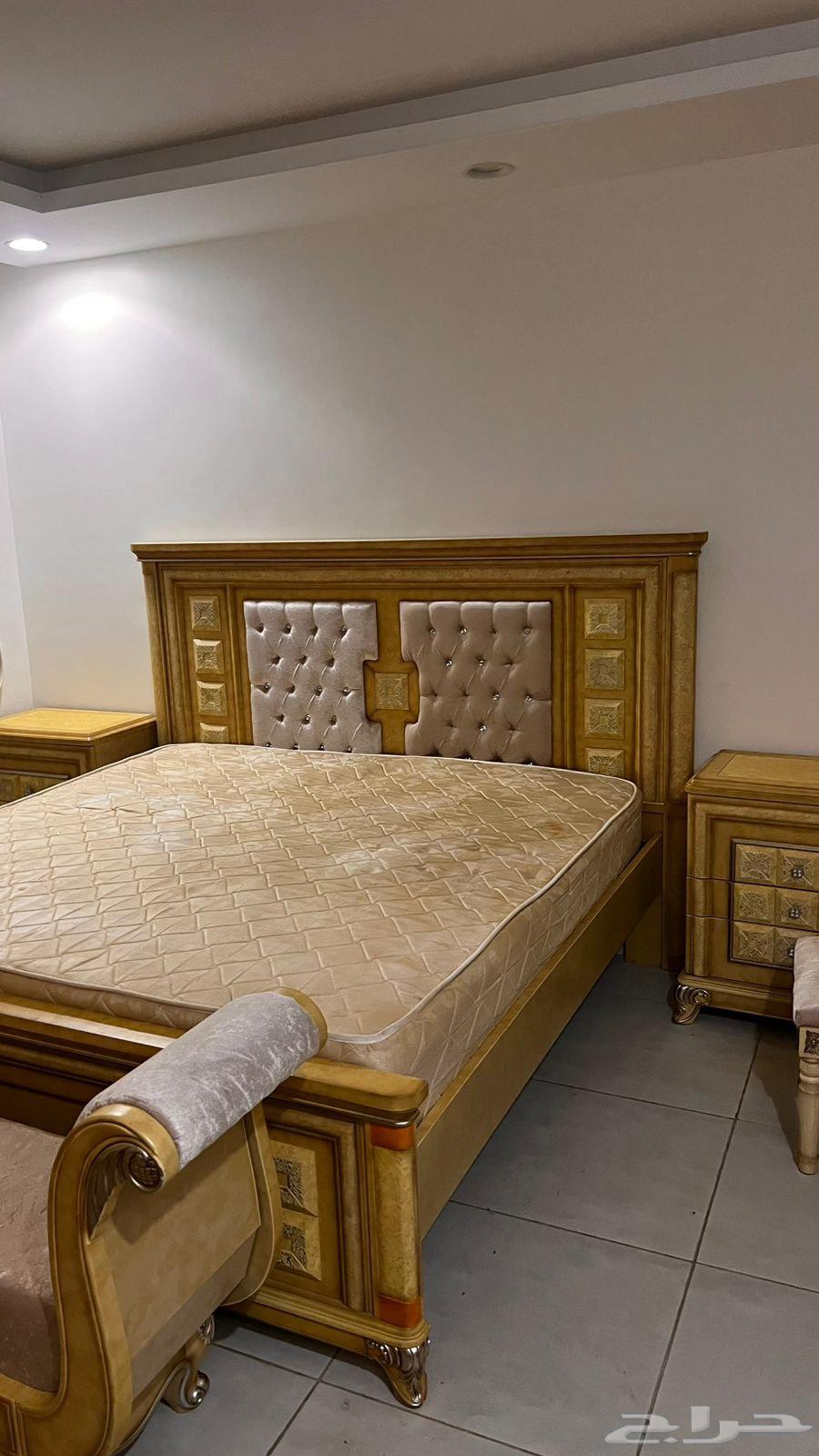 Carpenter64174615651713113