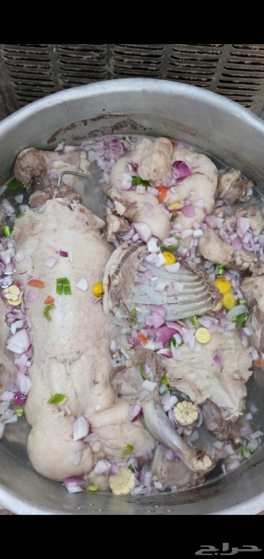 الطباخ ابو احمد64175015234563114