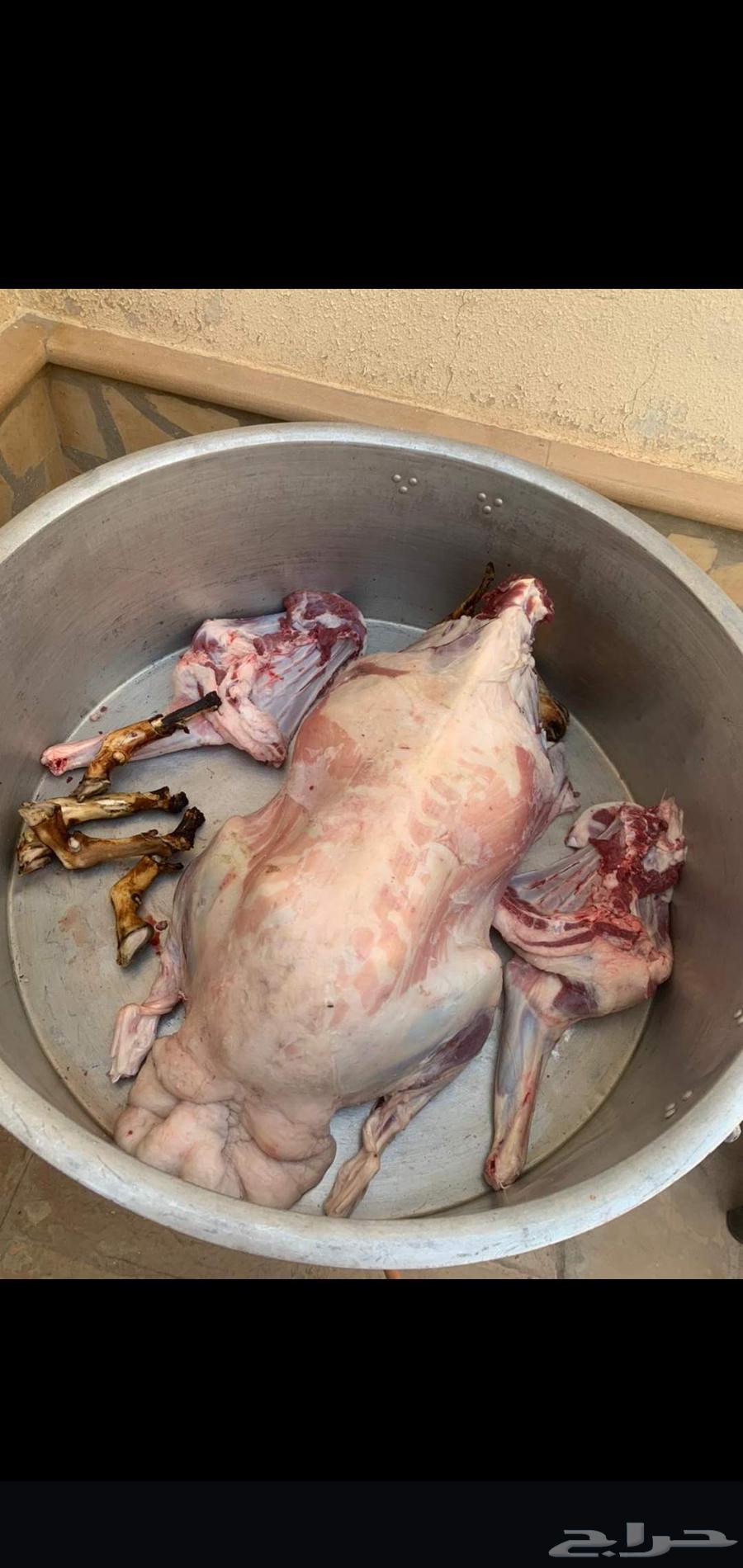 الطباخ ابو احمد64175015234563111