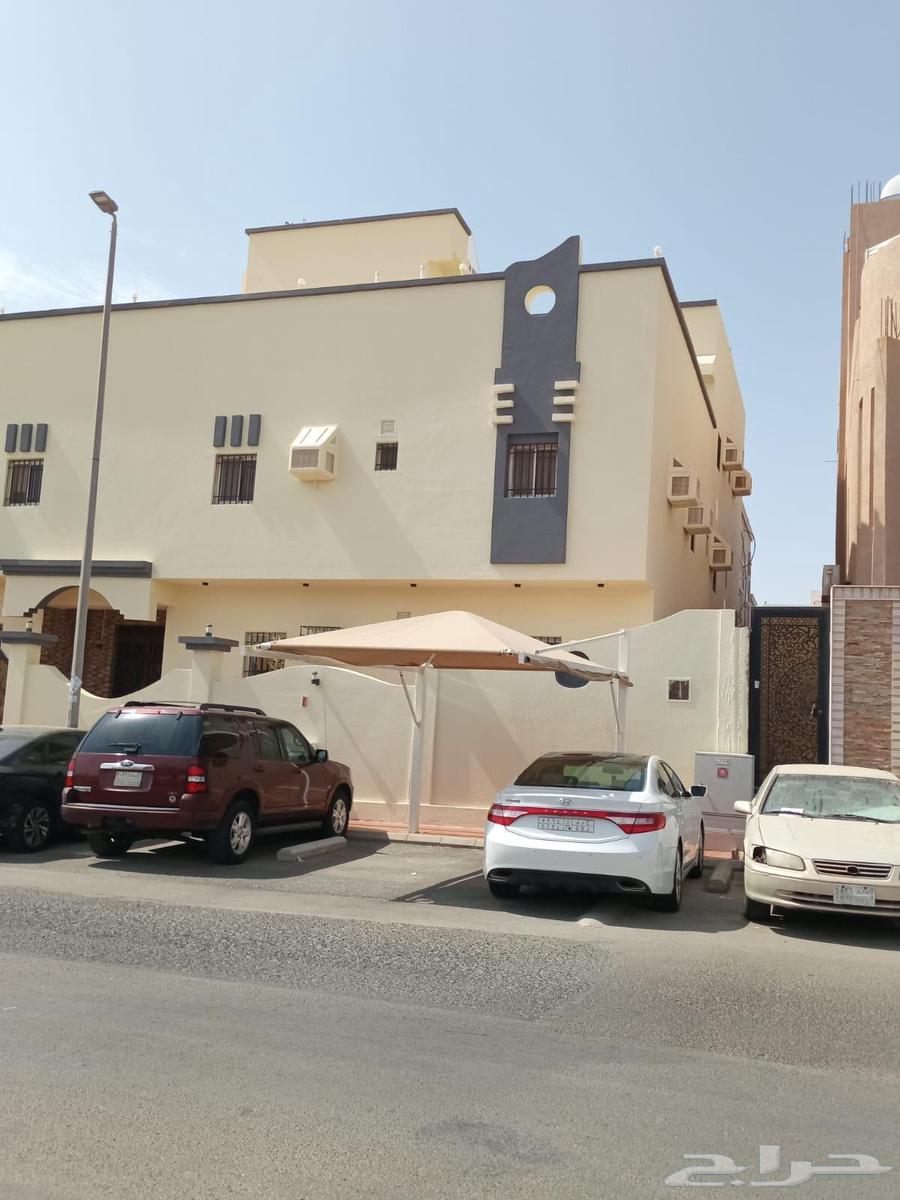 معلم دهان جده64176372962818110