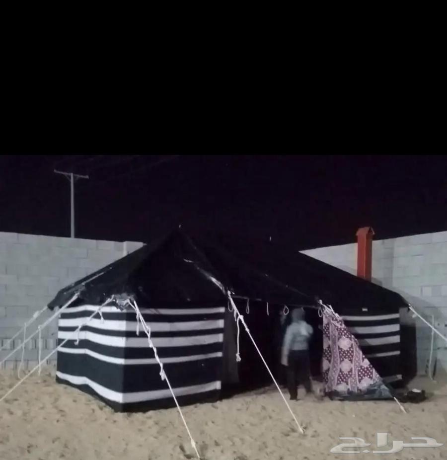 بيوت شعر وخيام64176179054083114