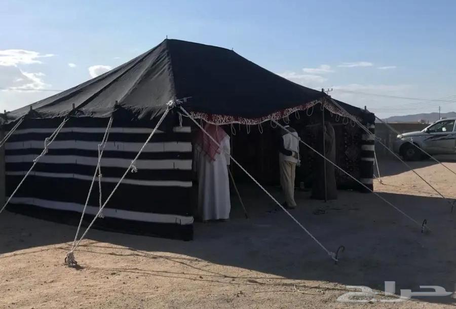 بيوت شعر وخيام64176179054083112