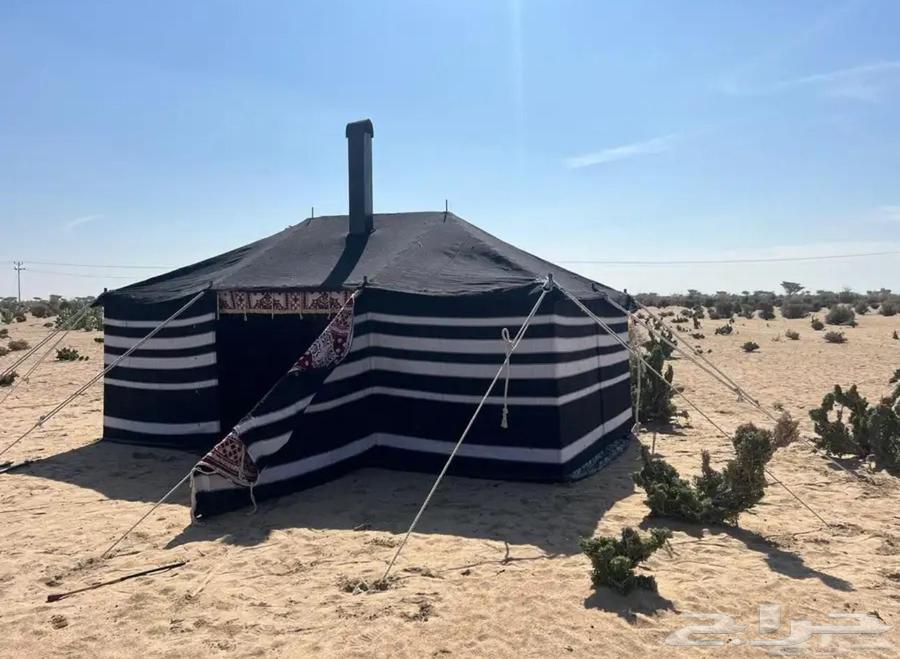 بيوت شعر وخيام64176179054083113