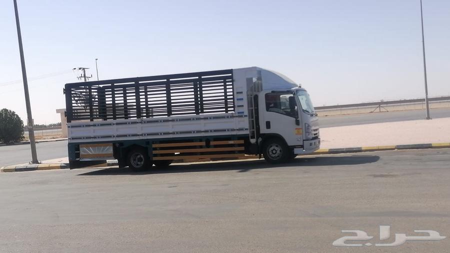 نقل عفش الدمام الخبر الرياض الاحساء64175973314563110