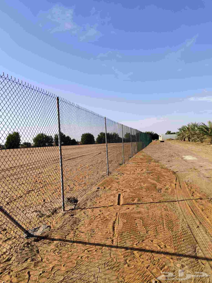 تركيب شبوك سياج64175012633987112