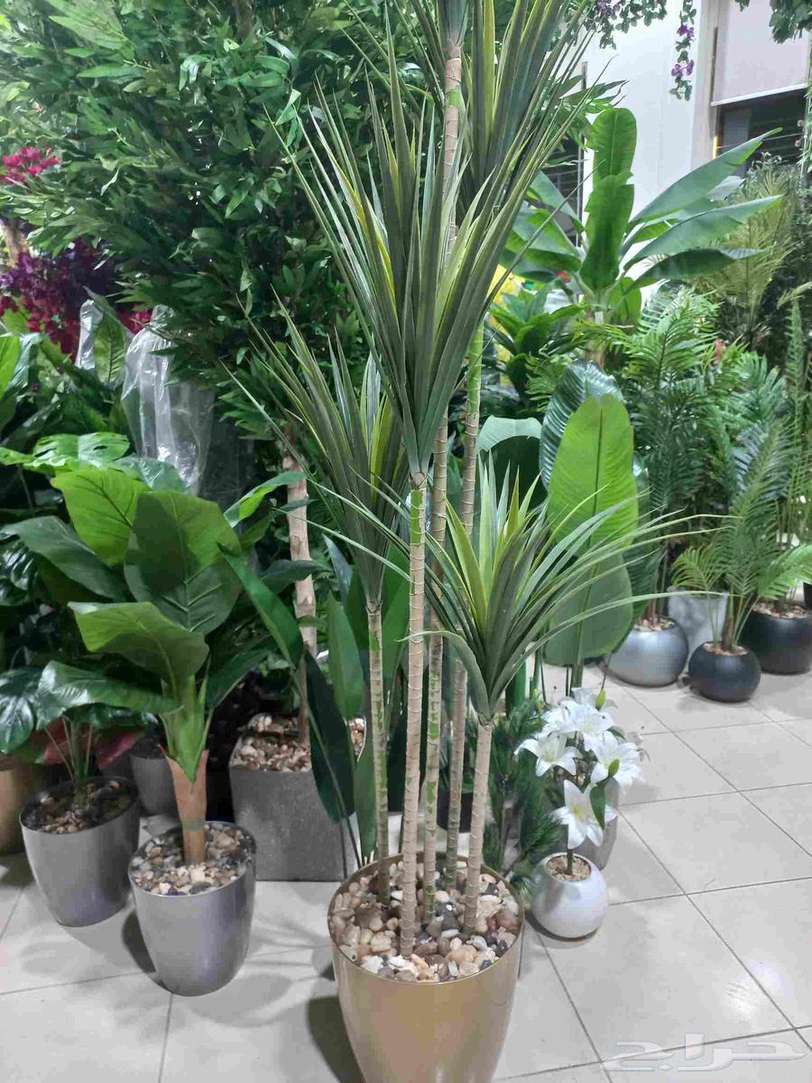 Home_garden_design64176371673601113