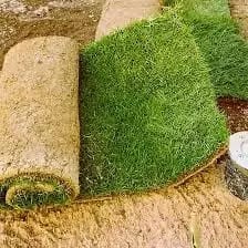 Fruit Trees64176584525313111