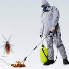 شركة رش مبيدات بالرياض رش مبيد64251460710145111