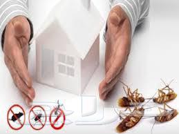 شركة رش مبيدات بالرياض رش مبيد64251460710145114